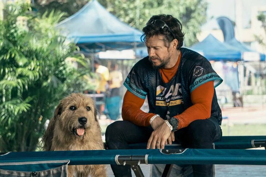 ARTHUR THE KING Review: Adorable Dog Outshines Wahlberg in Inspirational Drama